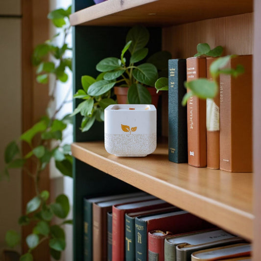 Simple Ways to Style Candles and Trays at Home