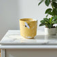 Spiced Honey & Tonka + Whisky candle
