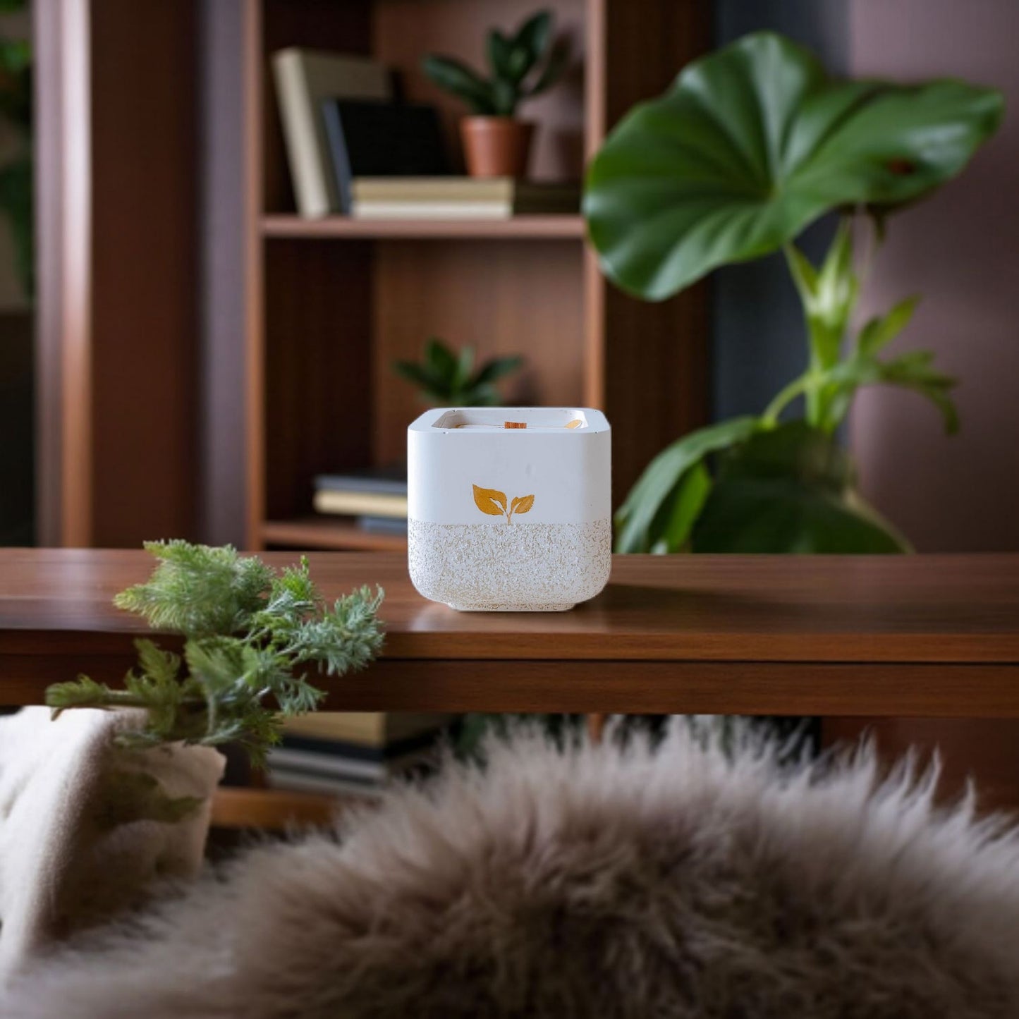 Bare Seduction – Aloe, Sea Salt & Amber