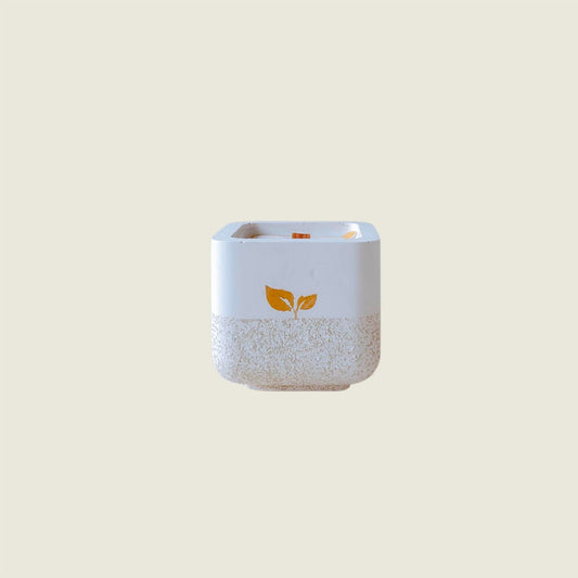 Aloe Sea Salt Amber Candle β Handmade Cement, Beachwood, 6oz