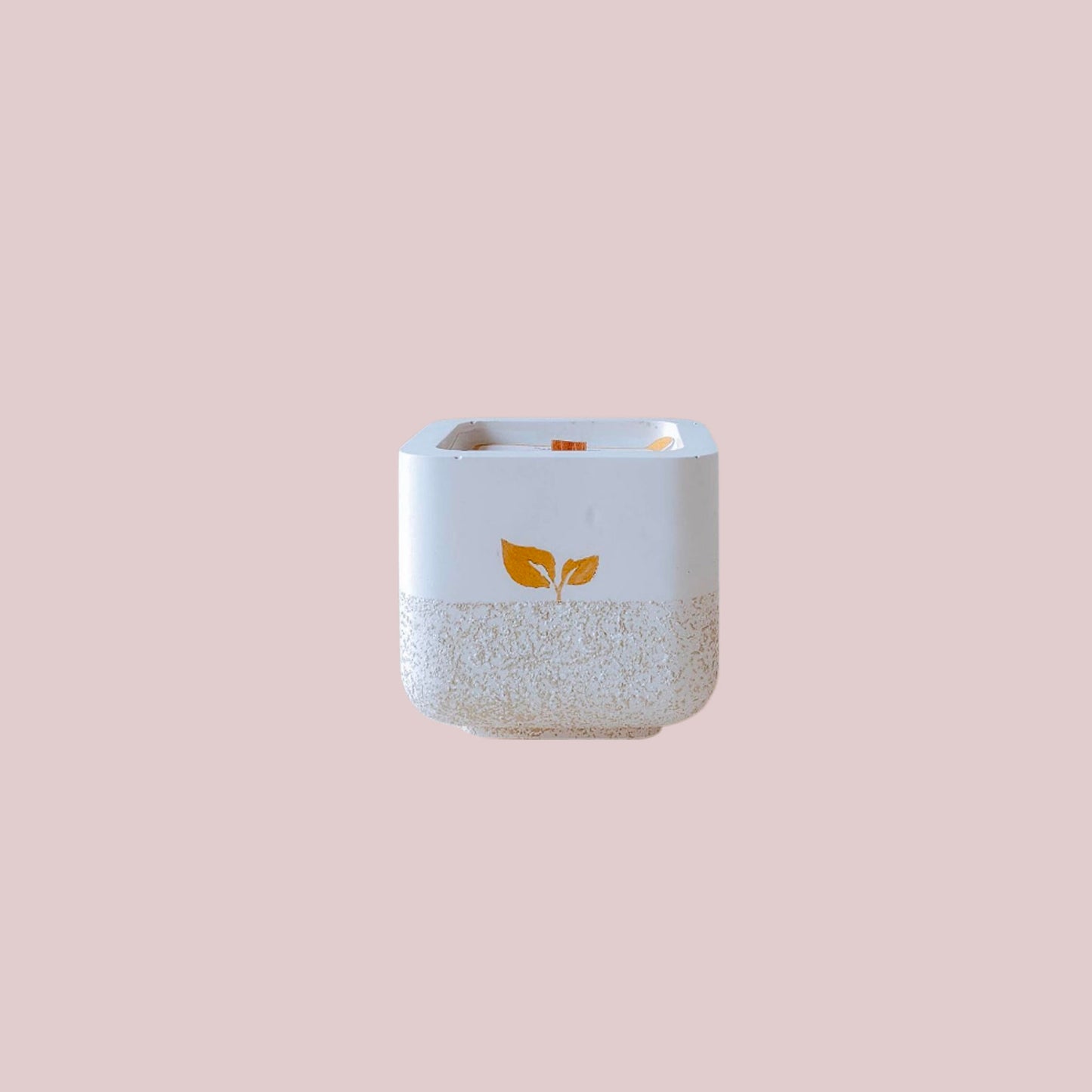 Aloe Sea Salt Amber Candle – Handmade Cement, Beachwood, 6oz