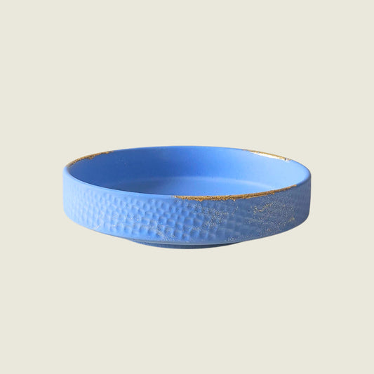 The Terra Bowl - Blue